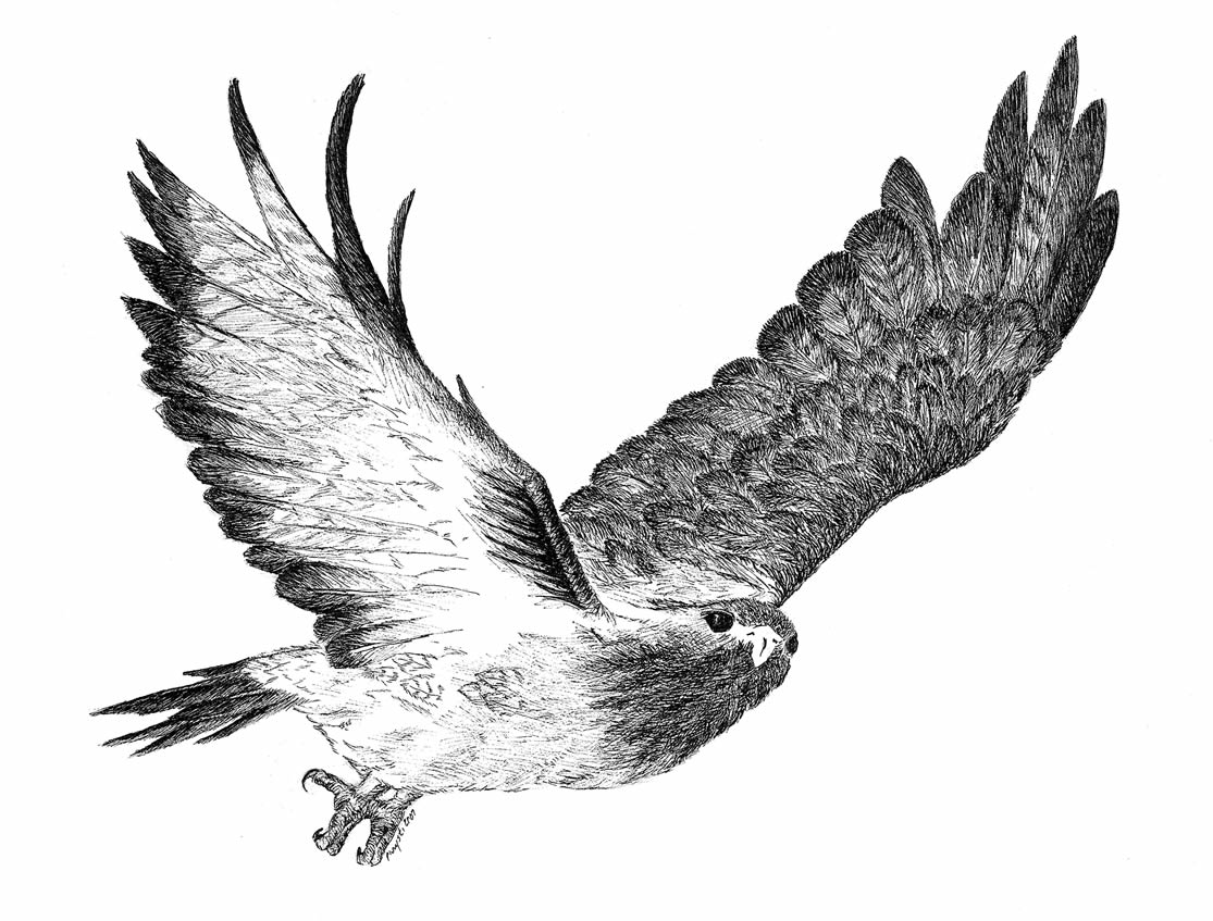  Ultra tenký popisovač MILLENIUM 02